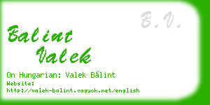 balint valek business card